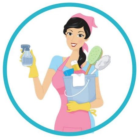 Non-Toxic Cleaning for Residential and Vacation Rentals